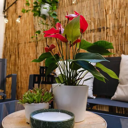 Apartment La Almenara Bari